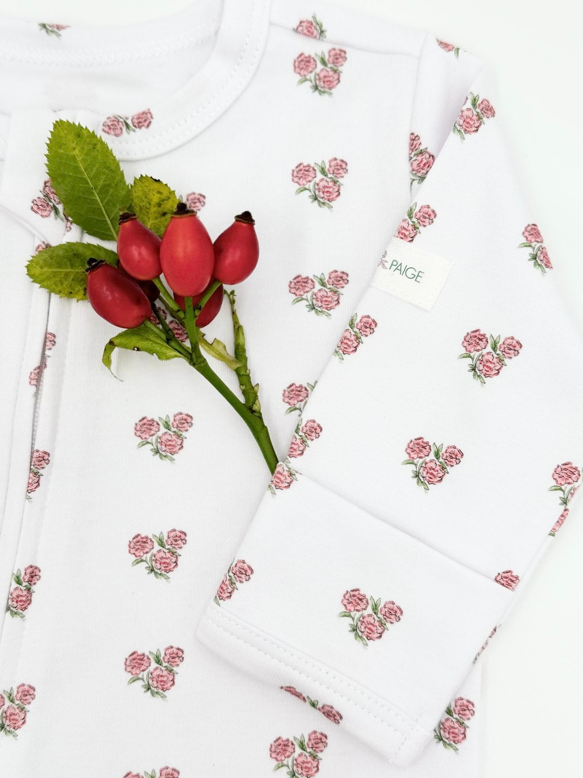 Carnation Baby (January)