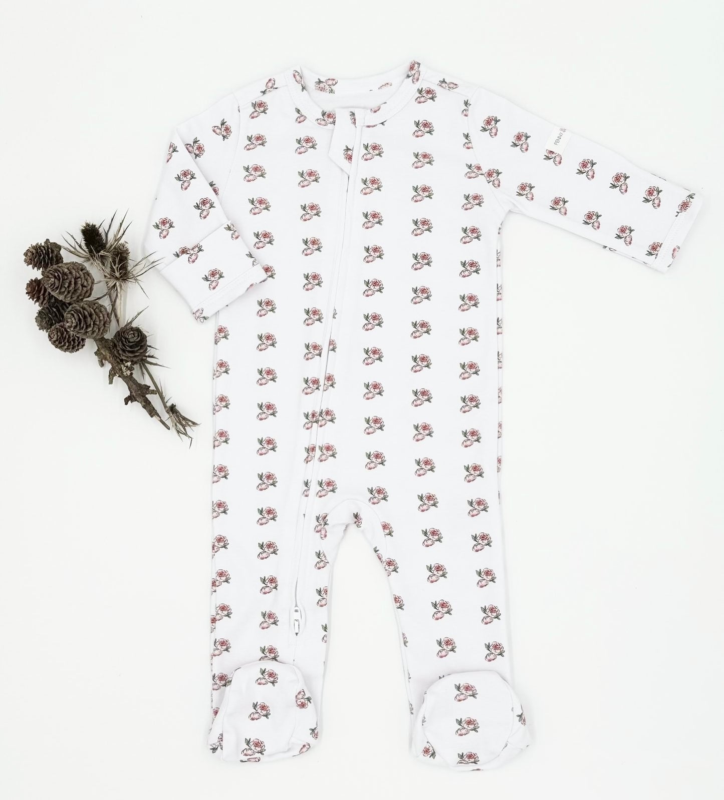 Peony Baby (November)