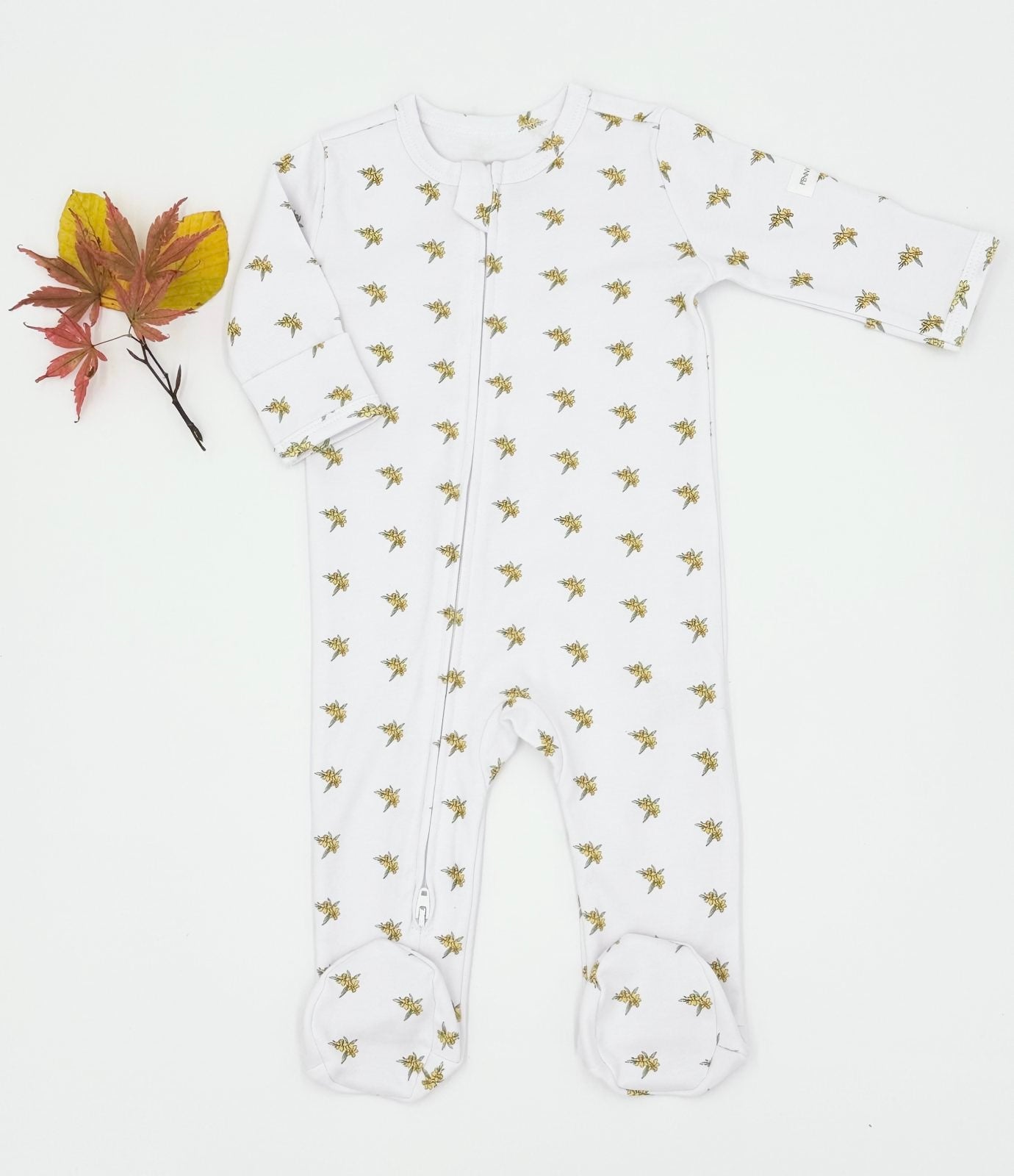 Daffodil Baby (March)