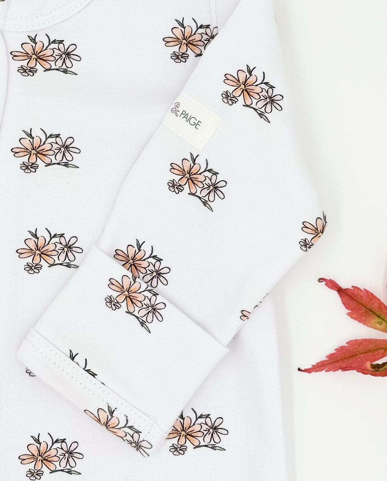 Cosmos Baby (October)