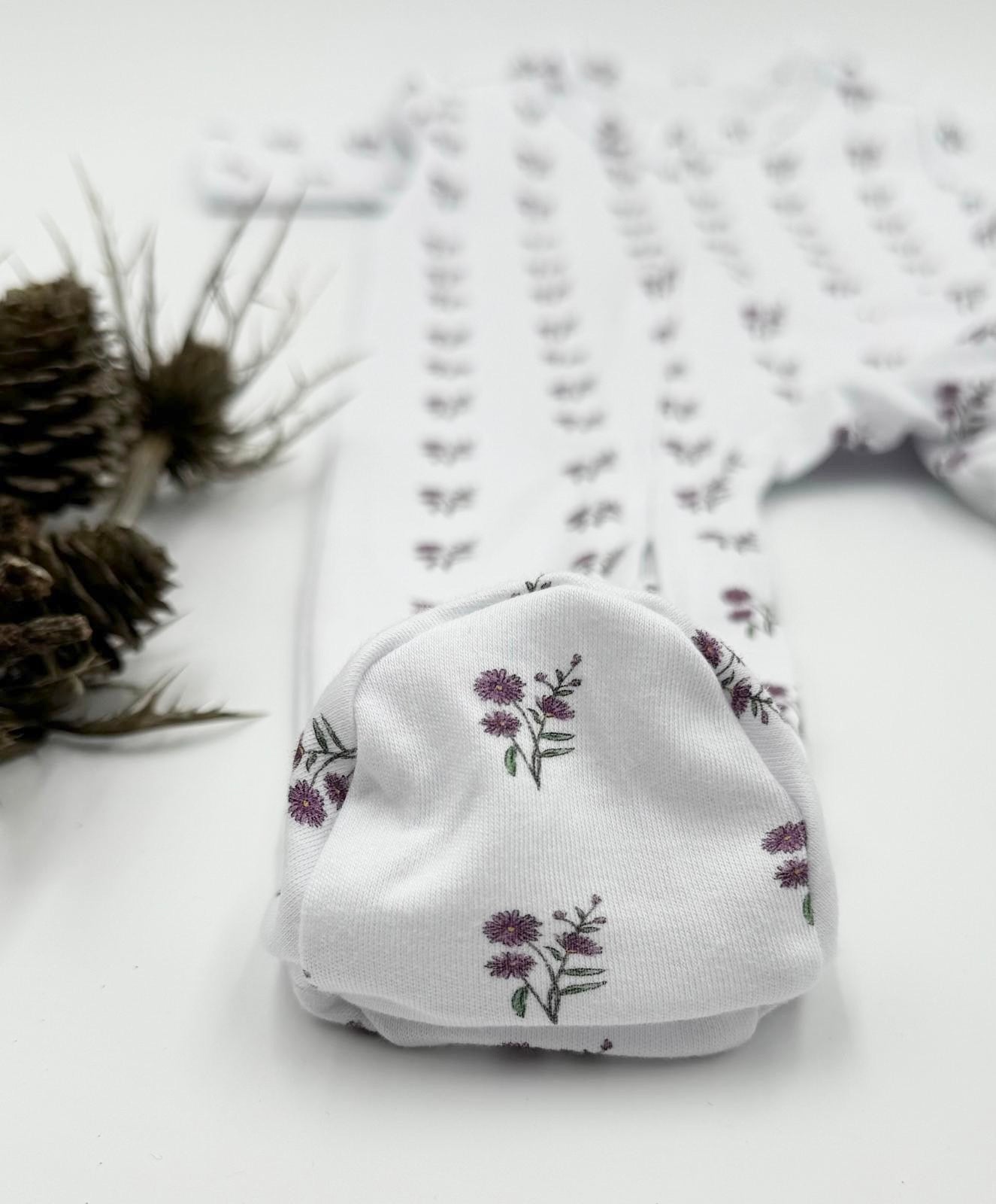 Aster Baby (September)