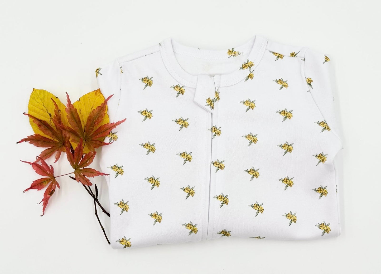 Daffodil Baby (March)