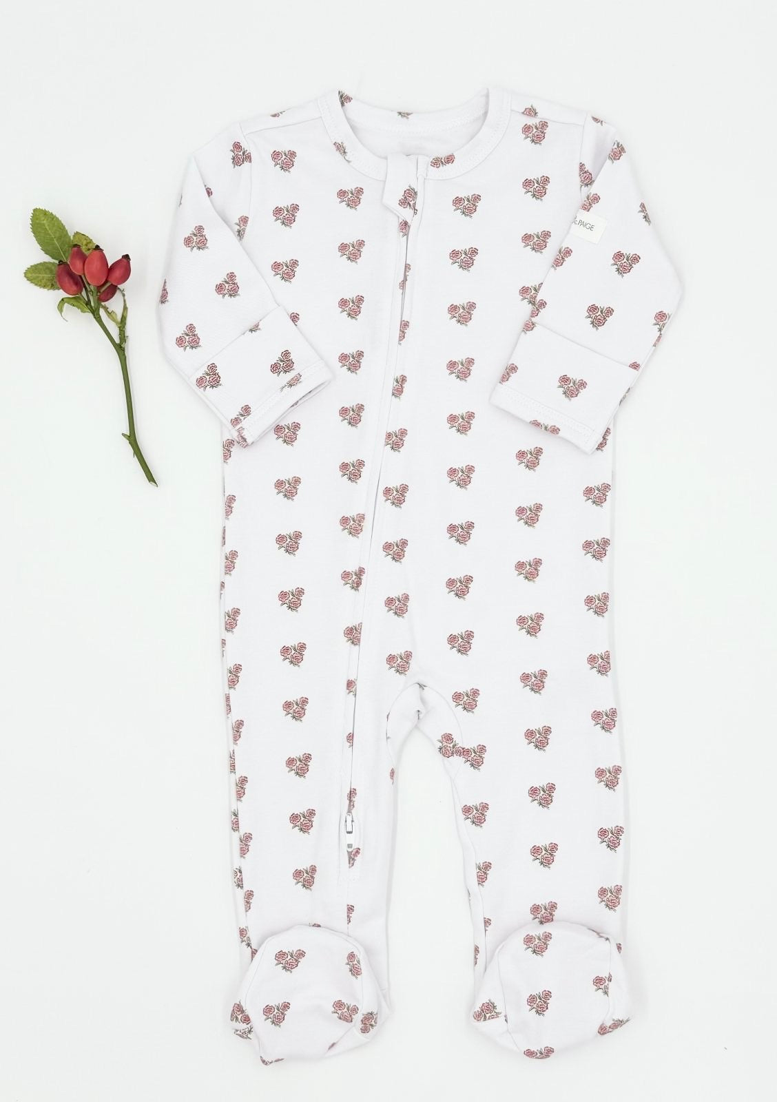 Carnation Baby (January)