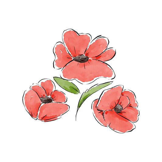 Poppy Baby (August)