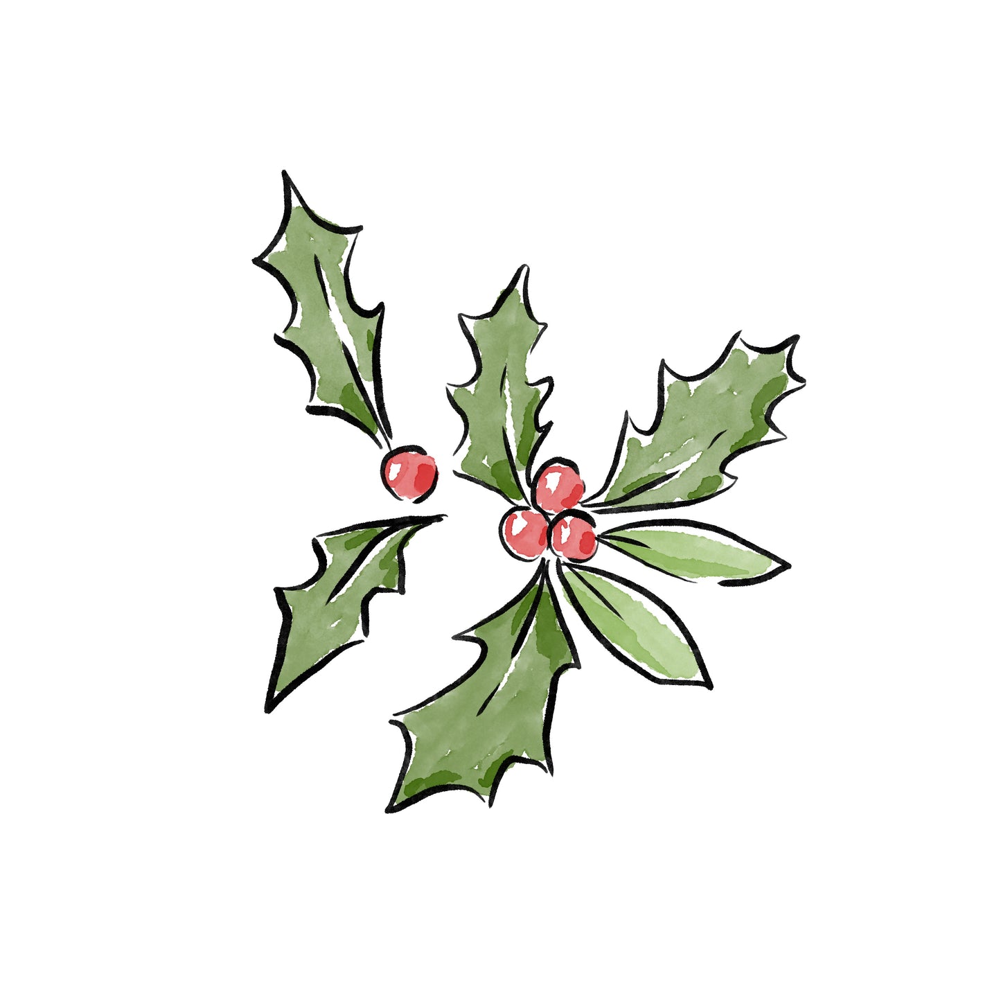 Holly Baby (December)