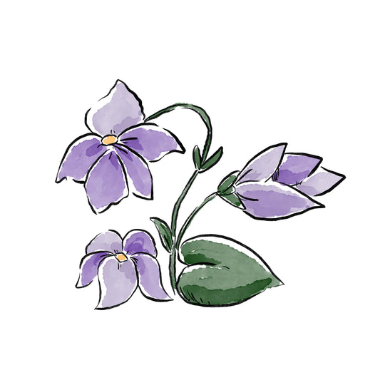 Violet Baby (February)