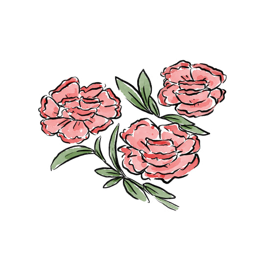 Carnation Baby (January)