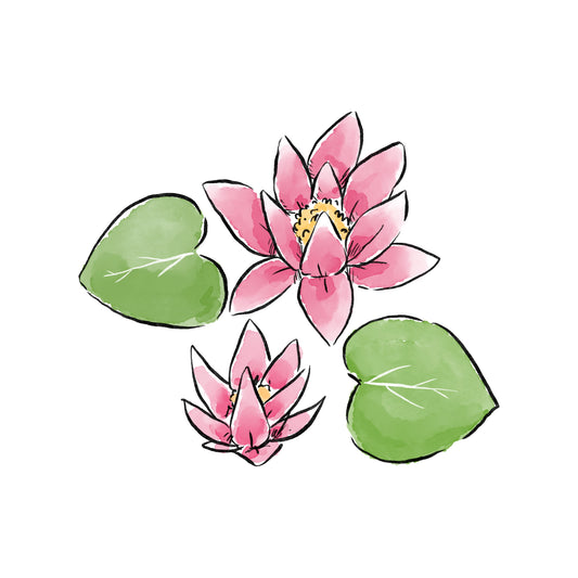 Water Lilly Baby (July)