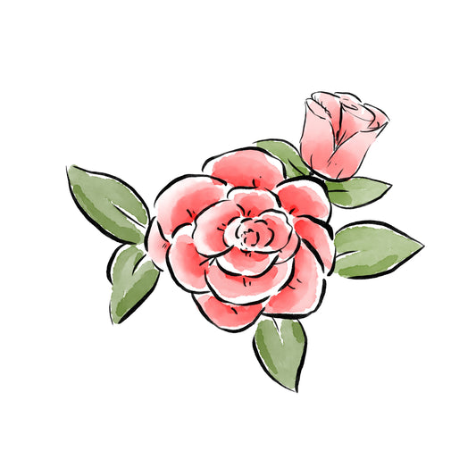 Rose Baby (June)