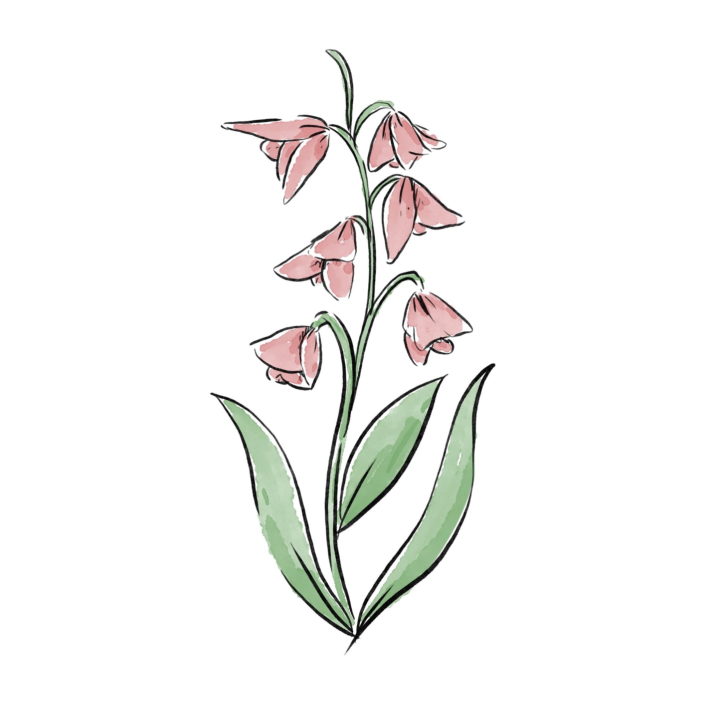 Lilly of the Valley Baby (May)