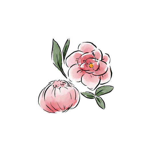 Peony Baby (November)