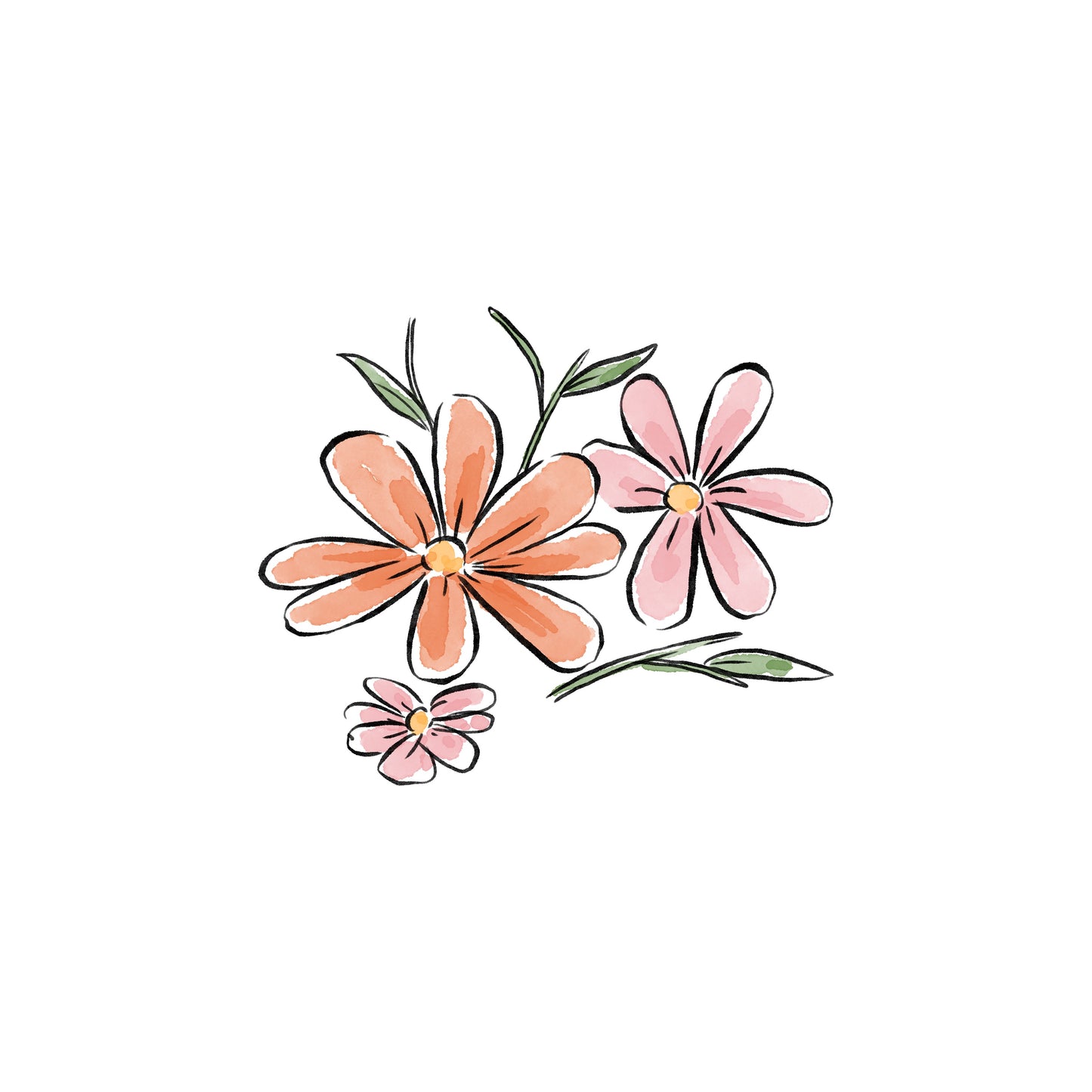 Cosmos Baby (October)